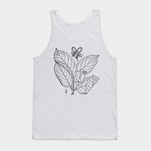 Botanical Scientific Illustration Black and White - Lonicera involucrata Tank Top